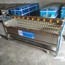毛刷去皮清洗機(jī)佳品JP1000/1500/1800去皮清洗機(jī)