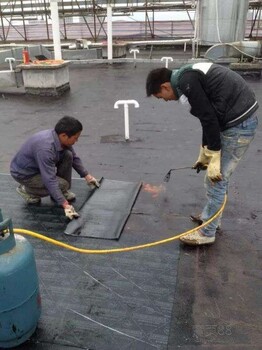 塘沽区漏房维修----屋面防水施工