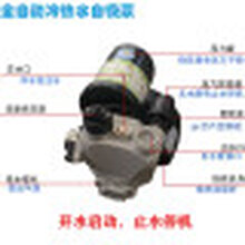 全自动增压泵智能加压泵家用小型自来水自吸泵农用冷热水抽水泵