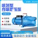 不锈钢喷射泵220V水井抽水泵大吸力流量增压泵