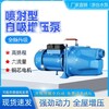 噴射自吸泵家用220V水井抽水泵大吸力流量增壓泵不銹鋼小型自吸泵