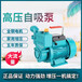 自吸式清水泵家用水管增压泵抽水机水泵80V水塔离心泵旋涡