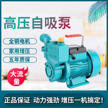 自吸增压泵家用自吸泵高扬程220V自来水管道自动增压泵抽水泵图片
