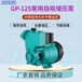 GP125w家用自吸泵增压泵空调泵加压泵抽水泵太阳能水泵空调循环泵