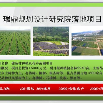 廣西南寧苗木種植基地資金申請報(bào)告