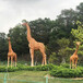 玻璃钢长颈鹿雕塑_休闲景观仿真动物鹿_户外园林动物摆件
