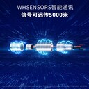 電子水位水溫測(cè)定儀