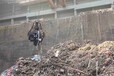 闵行一般工业固体废弃物收集清运单位电话