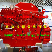 3957593发电机适用于进口康明斯发动机