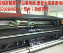 3M灯箱布、UV灯片、UV3P布、UV刀刮布图片