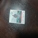 盧灣區郵票回收/免費提供2022年價格表