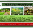 在九寨沟县编写机构本地代写节能评估报告甲级资质服务公司图片