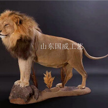 人工植毛仿真狮子标本展览狮子模型图片