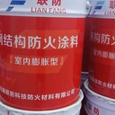 河南聯(lián)防科技防火涂料廠、實(shí)力廠家、安陽(yáng)防火涂料廠