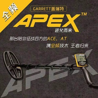进口盖瑞特APEX金属探测器黄金探测仪探宝器图片2
