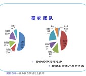 成都市旅游工业服务项目创业/投资计划书/ppt制作多少页