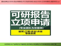 长春市农业服务业工业项目商业计划书/投资报告/ppt设计评审图片0