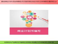 深圳市福田区现代乡村振兴项目资金申请报告怎样写图片3