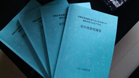 广州市花都区工业批地项目融资报告书/ppt代做融资计划图片3