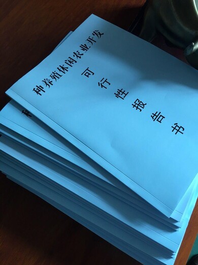 广州市番禺区大数据文旅项目商业计划书书代写