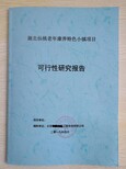 合肥市审批立项备案项目招商融资报告/ppt代写价格图片5