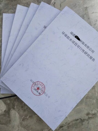 广州市天河区立项审批备案项目可行性研究报告代书写