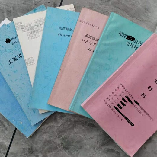 重庆市文化旅游项目商业计划书/ppt设计书代写