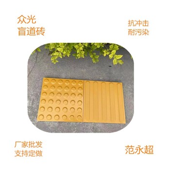 广东佛山铁路站台陶瓷盲道砖各种规格尺寸
