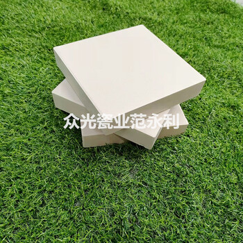 近230x113x65耐酸標(biāo)磚貨緊缺可提前預(yù)定耐酸磚