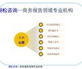 红河州绿春县项目可行性研究报告如何做安全评价报告