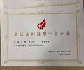 汉沽科技型中小企业代办什么条件