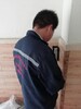 什邡灭白蚁公司找蚁后