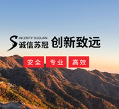 图片0