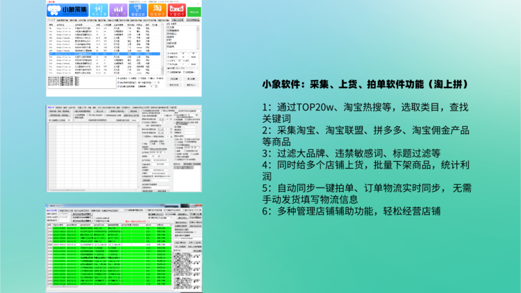 大象采集软件拼多多无货源店群店群运营培训加盟拼多多群控软件