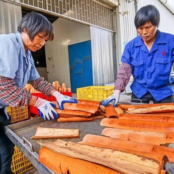 大料桂皮八角烘干机箱式桂皮烘干机桂皮除湿烘干机