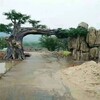 承德平泉县公园假树门头制作