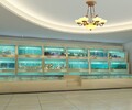 移动海鲜池广州二组制冷海鲜池,pvc板海鲜池