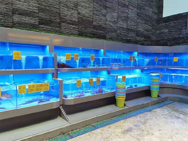 广州海鲜池制作图片