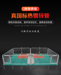 图片0