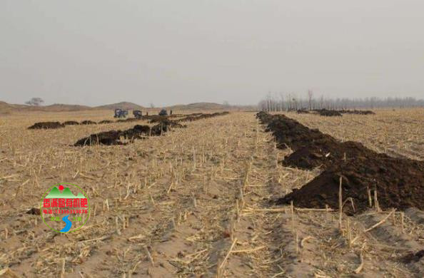 广平河北玉田鸡粪有机肥解决土壤板结