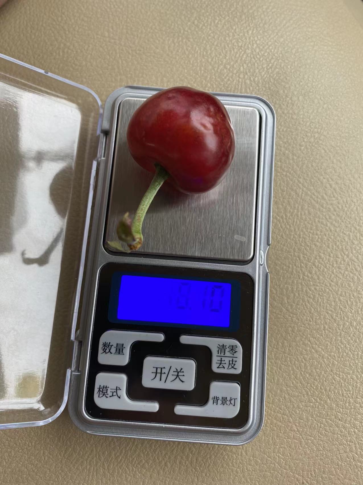 溧水區(qū)致富新品種魯英五號(hào)櫻桃苗