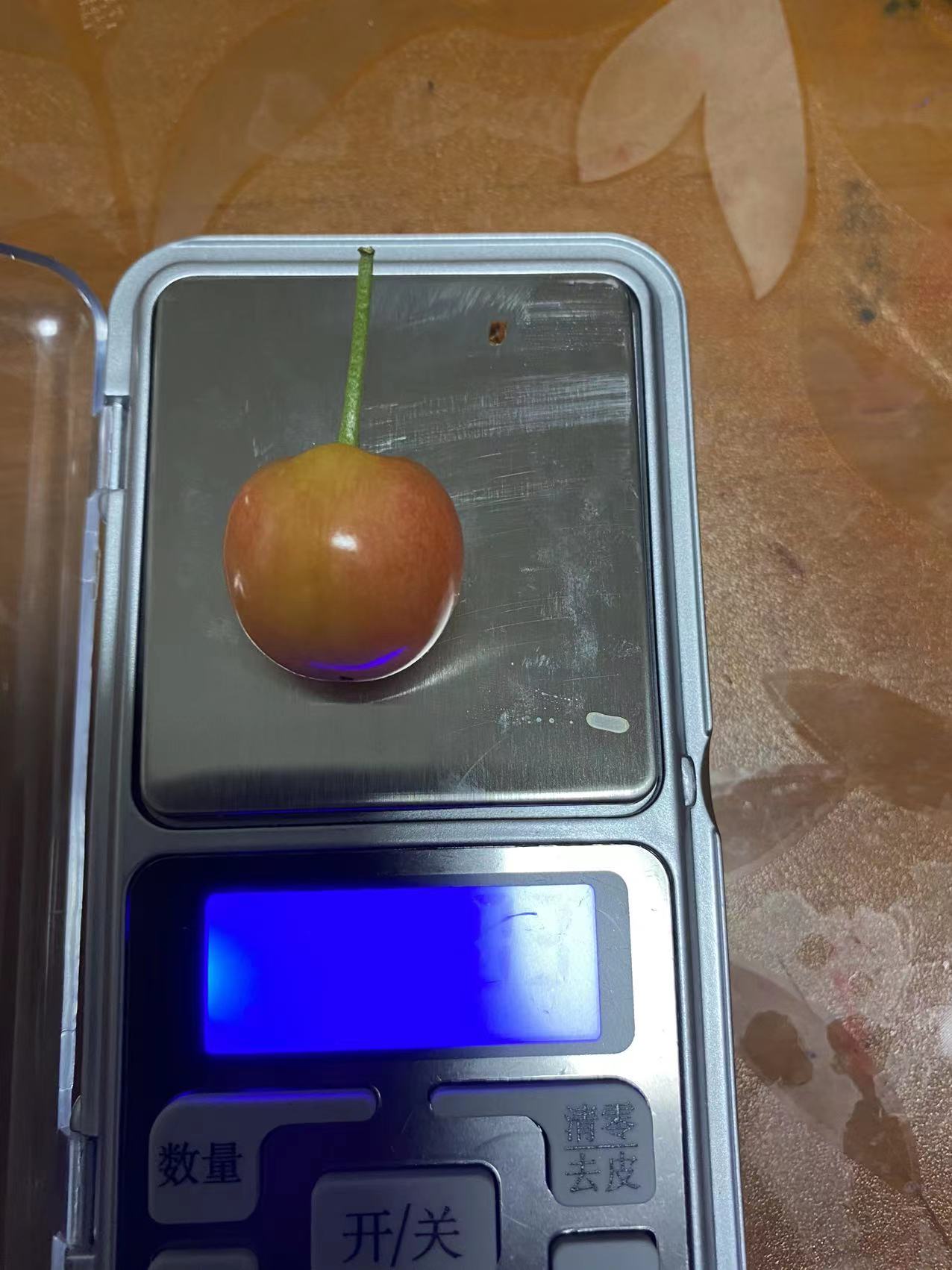 清水推薦咨詢嫁接櫻桃苗