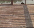 呼和浩特工程用木塑地板市场价格分类