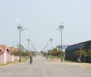 芜湖80W太阳能路灯图片