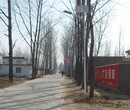 河池80W太阳能路灯图片