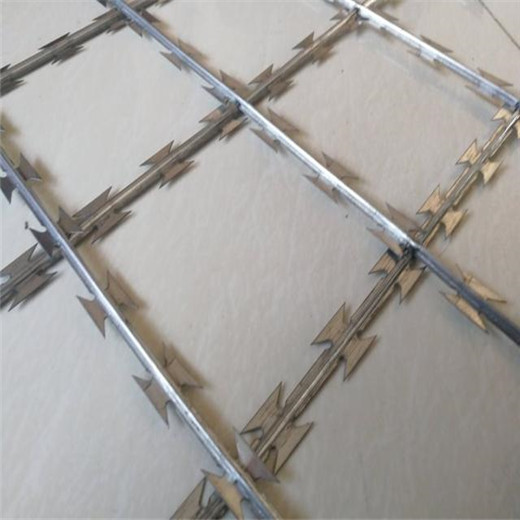 柳州围墙倒刺网-加高刀刺隔离网