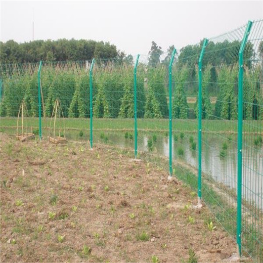 河南安陽水渠河道護(hù)欄-圈山鐵絲網(wǎng)圍欄