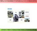德化县超长期国债项目可研报告的价格