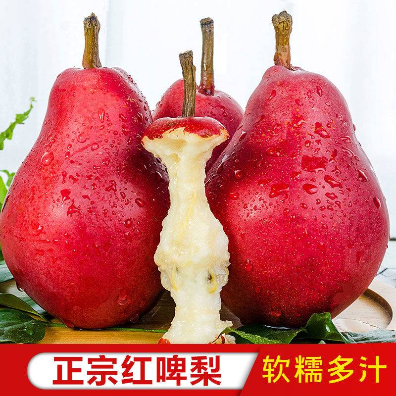貴州安順梨苗,貴州安順梨苗多少錢一棵