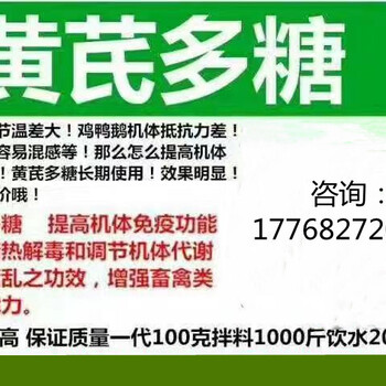 兽药黄芪多糖主要功能,兽药黄芪多糖的作用,黄芪多糖兽药治什么